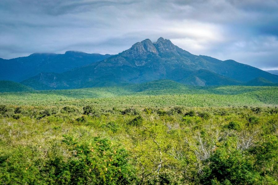 How to Navigate Mexico’s Mountain Roads Safely and Confidently